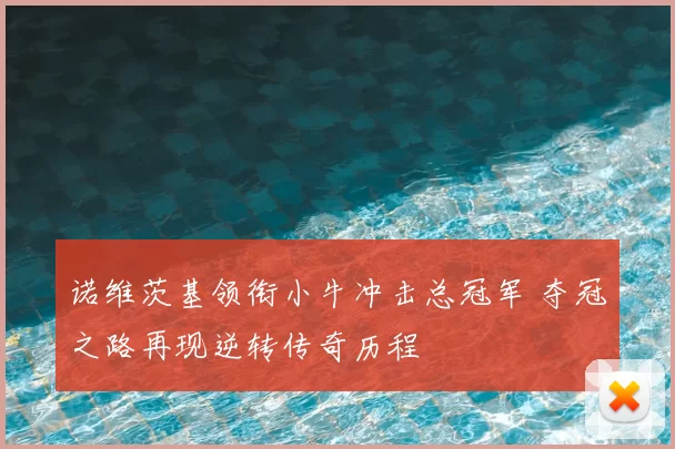 诺维茨基领衔小牛冲击总冠军 夺冠之路再现逆转传奇历程