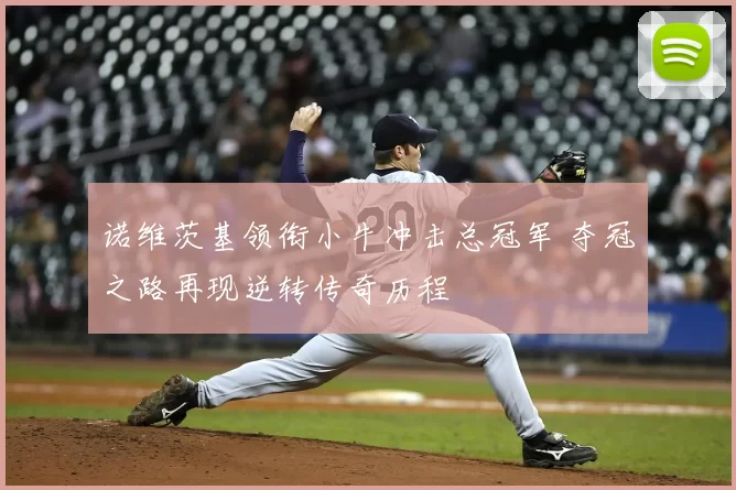 诺维茨基领衔小牛冲击总冠军 夺冠之路再现逆转传奇历程