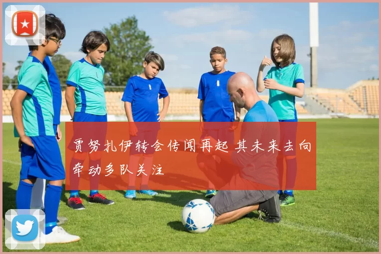 贾努扎伊转会传闻再起 其未来去向牵动多队关注