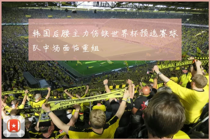 韩国后腰主力伤缺世界杯预选赛球队中场面临重组