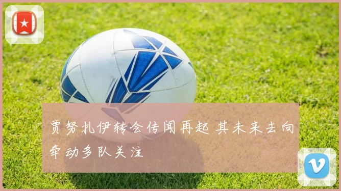 贾努扎伊转会传闻再起 其未来去向牵动多队关注