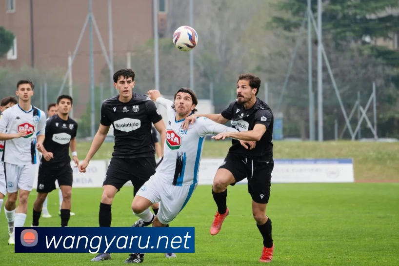 巅峰国际官网 - 追求健康，你我一起成长品牌故事