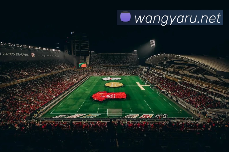 巅峰国际官网 - 追求健康，你我一起成长服务体系